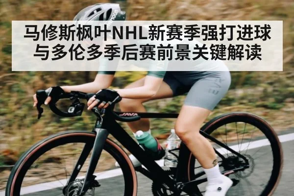 马修斯枫叶NHL新赛季强打进球与多伦多季后赛前景关键解读